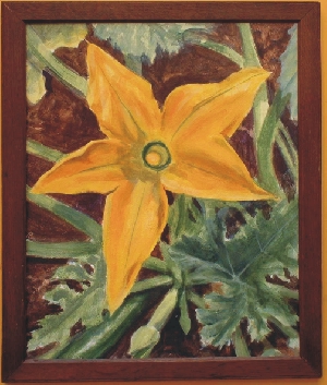 Courgette Flower